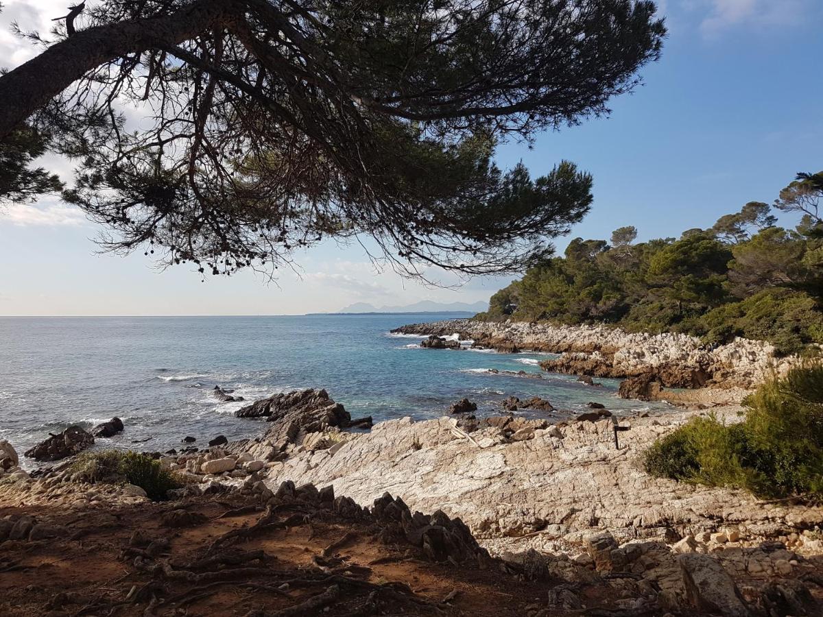 Penthouse Antibes Apartment المظهر الخارجي الصورة